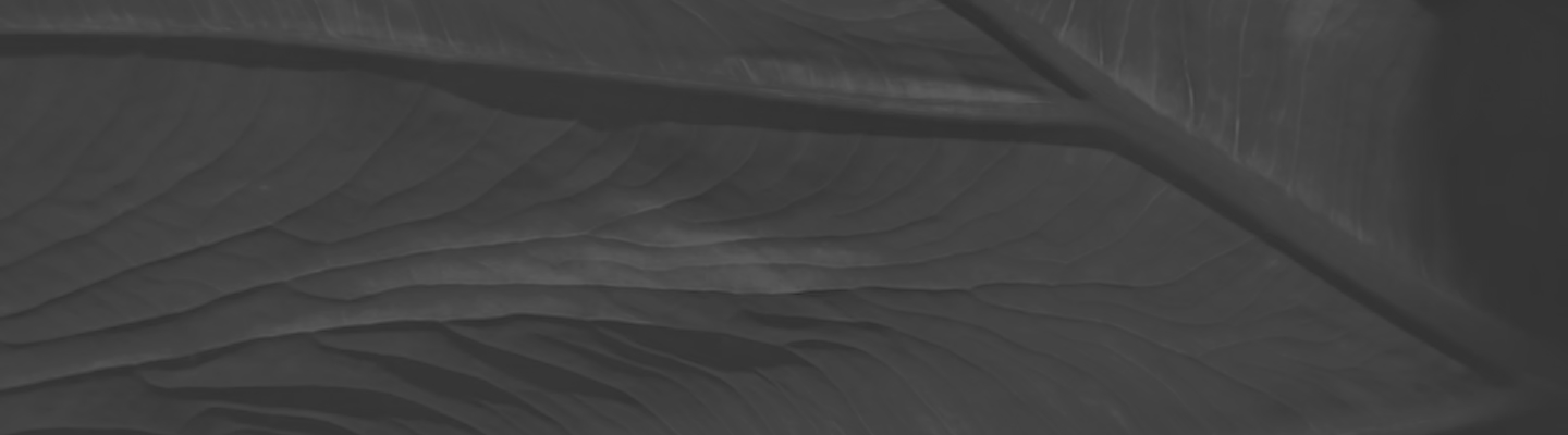 SIA “Clean R” iesniedzis Konkurences padomei ziņojumu par apvienošanos ar SIA “Ķilupe”