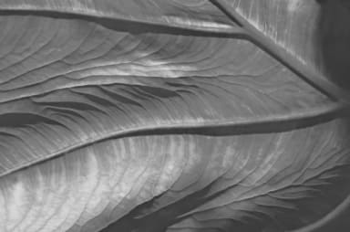 CleanR Grupa continues investments in sustainability; will introduce ESG reporting